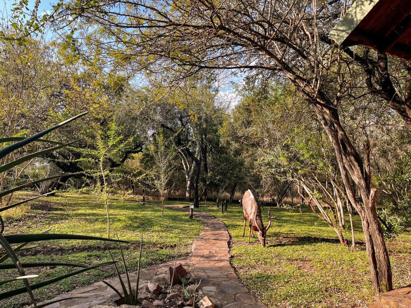 Mbuluzi Game Reserve Simunye Pokój zdjęcie